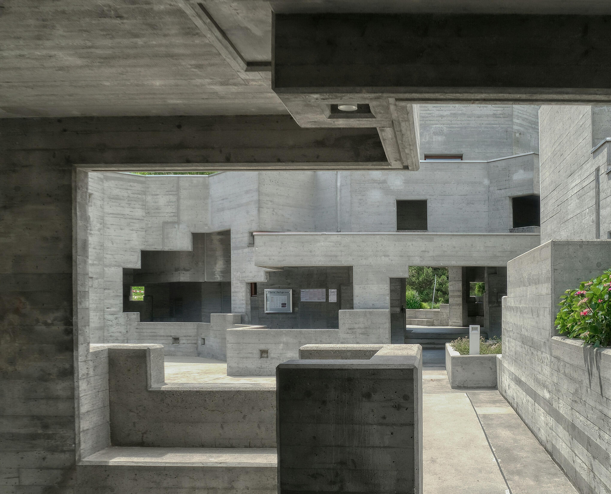 About The Program Elite Stone The Program Elite